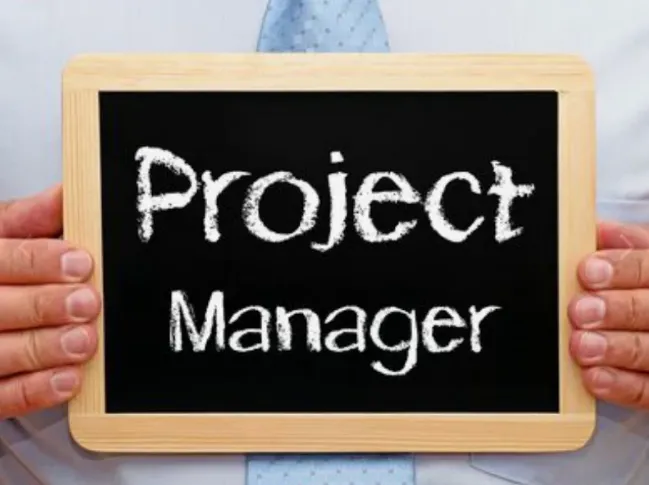 Project Manager