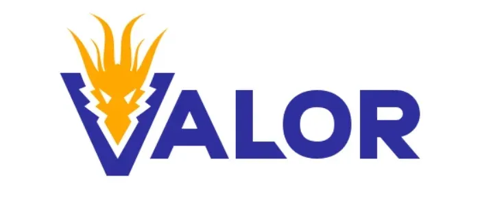 Valor partners